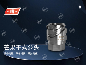 芒果干式接头公头